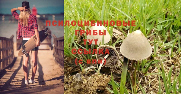ALPHA PVP Алексеевка